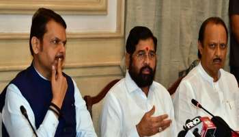 लोकसभा निकालानंतरच महायुतीत विधानसभेची रणनिती ठरणार, &#039;या&#039; गोष्टीवर ठरवणार जागावाटप