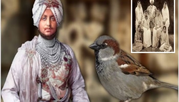 &#039;या&#039; राजाच्या होत्या 350 राण्या आणि 88 मुलं, लैंगिक उत्तेजना वाढवण्यासाठी खायचा चिमणीच्या मेंदूपासून बनवलेले औषध