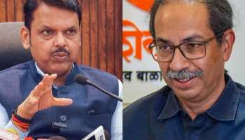 Maharashtra Lok Sabha Election 2024 Result: महाविकास आघाडीत उद्धव ठाकरेच मोठा भाऊ, भाजपाची स्थिती काय?