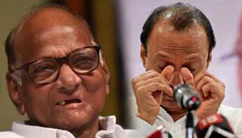 Lok Sabha Election 2024: अजित पवारांनी &#039;कसा जिंकून येतो&#039; म्हणत आव्हान दिलेला उमेदवार दीड लाख मतांनी जिंकला