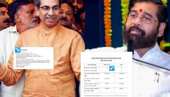 LokSabha Election Result: उद्धव ठाकरेंपेक्षा शिंदे गटाचा जास्त जागांवर विजय, शिवसेना नेत्याच दावा, &#039;हिरव्या मतांवर उबाठाची मदार&#039;