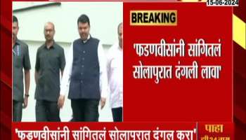 Narayan Rane on Praniti Shinde Allegation on Devendra Fadnavis