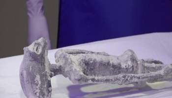  &#039;हे&#039; खरचं एलियनचे मृतदेह आहेत का? DNA टेस्टचा रिपोर्ट पाहून वैज्ञानिकही चक्रावले