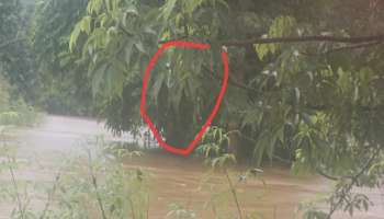 कोकणात भयानक पाऊस ! रत्नागिरीमध्ये  NDRF ची टीम दाखल; 177 नागरिकांचे स्थलांतर 