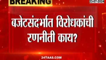 INDIA Alliance Top Leaders to Meet Today for Strategy on Union Budget 2024 
