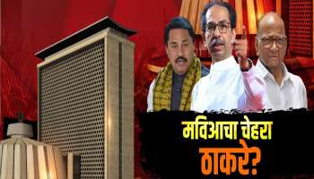 विधानसभेसाठी मविआचा जबरदस्त प्लान, मुख्यमंत्रीपदाचा चेहराही ठरला?