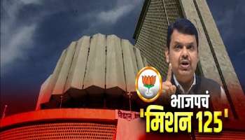 विधानसभेसाठी भाजपचं मिशन &#039;125&#039; , &#039;एक नेता, एक जिल्हा&#039; धोरण राबवणार