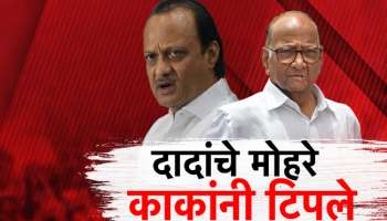 राजकारणातला बुद्धीबळ ! शरद पवारांनी टिपले अजित पवारांचे मोहरे; बालेकिल्यातच टाकला मोठा डाव 