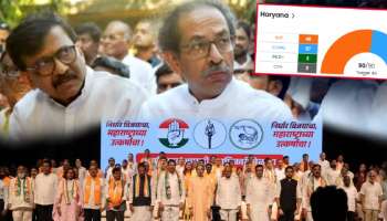 महाराष्ट्रात हरियाणा इफेक्ट? ठाकरेंचं &#039;एकला चलो रे&#039;? म्हणाले, &#039;काँग्रेसला स्वबळावर...&#039; 