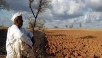 धक्कादायक आकडेवारी! जळगावमध्ये गेल्या 10 महिन्यात &#039;इतक्या&#039; शेतकऱ्यांनी संपवलं जीवन