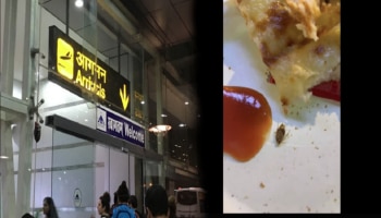 Airport Video : 200 रुपयांचा ब्रेड पकोडा झुरळ खाण्यासाठी घेतला का? विमानतळावर प्रवाशासोबत घडला किळसवाणा प्रकार 