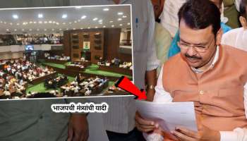Maharashtra Cabinet Expansion: फडणवीसांच्या मंत्रिमंडळातील भाजपाचे 20 मंत्री कोण? ही घ्या संपूर्ण यादी