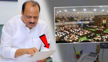 Cabinet Expansion: अजित पवारांच्या &#039;या&#039; 10 आमदारांच्या गळ्यात मंत्रिपदाची माळ; यादी एकदा पाहाच