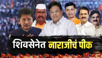  शिवसेनेत नाराजीचा स्फोट! आमदारांची धुसफुस एकनाथ शिंदेंसाठी डोकेदुखी ठरणार?