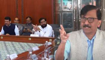 &#039;शिंदे गट भाजपच्या पोटात उगवलेला अपेंडिक्स&#039;, राऊतांचा टोला! म्हणाले, &#039;फडणवीस रोज...&#039;