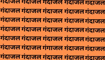 'गंगाजल' हा शब्द तुम्हाला दिसला का?