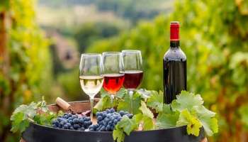 गोव्यापेक्षा जास्त फेमस असलेला महाराष्ट्रातील एकमेव जिल्हा; जगभरातील पर्यटक इथं फिरण्यासाठी नाही तर &#039;या&#039; कारणासाठी येतात 