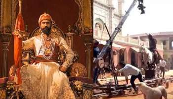 विकी कौशलच्या &#039;छावा&#039;चं सत्य आलं समोर; ज्या घोड्याविषयी बोलत होता, त्याचं सत्य पाहून प्रेक्षकांचं तोंड झालं बंद