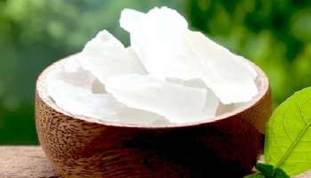 तुम्ही सुद्धा बनावट कापूर वापरत आहात का? अशा प्रकारे लगेच ओळखा