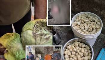 चिकन मोमोज बनवणाऱ्या फॅक्टरीवर धाड, फ्रीज उघडल्यानंतर अधिकारी चक्रावला, आत चक्क कुत्र्याचं...; VIDEO व्हायरल