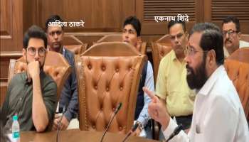 हाय व्होल्टेज बैठकीत आदित्य ठाकरे अन् एकनाथ शिंदे आले आमने सामने, अध्यक्षासंमोर म्हणाले &#039;आधी यांच्या...&#039;