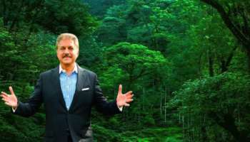 भारतात कॉफीची लागवड पहिल्यांदा कुठे झाली? आनंद महिंद्रांनीच माहिती देत दाखवलं एक अविश्वसनीय ठिकाण