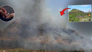 सिगारेटच्या ठिणगीमुळे महाराष्ट्रातील प्रसिद्ध किल्ल्याला आगीचा वेढा; 40 घोरपडी होरपळल्या अन्...