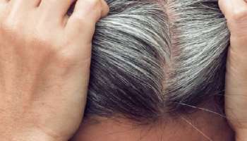 तरुण वयात केस पांढरे होत आहेत? &#039;या&#039; घरगुती उपायाने मिळवा नैसर्गिक काळे, घनदाट केस