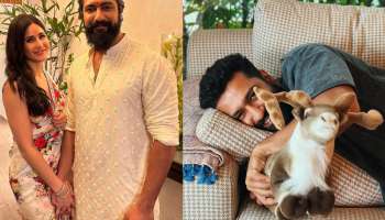 विकी कौशल जुहूच्या सीफेसिंग अपार्टमेंटमध्ये आणखी 3 वर्ष राहण्यासाठी मोजणार कोट्यवधींची रक्कम; एक महिन्याचं भाडं किती? 