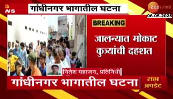 Jalna People In_Fear_Of_Stray_Dog_As_Eight_Year_Girl_Passed_Away_In_Stray_Dog_Bite