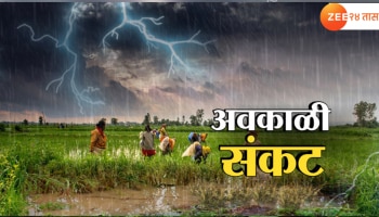 Maharashtra Unseasonal Rain Alert : अवकाळी पावसामुळे कोणत्या जिल्ह्यात किती नुकसान?