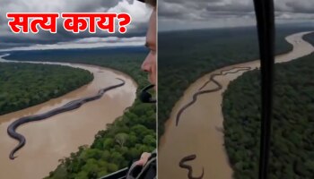Fact Check : नदीमध्ये दिसला महाकाय एनाकोंडा; थरकाप उडवणारा व्हिडीओ पाहून सगळेच घाबरले 