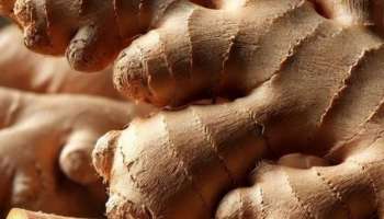 Follow these special ways to keep ginger fresh for a long time