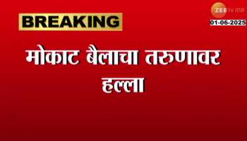 Uttar Pradesh Bull Attack On Youngster 