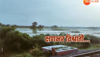 Maharashtra Weather : पहिल्या दोन दिवसात जोरदार बॅटींग करणाऱ्या पावसाची गती मंदावली; आता भेट थेट...
