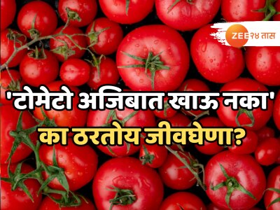 &#039;टोमॅटो अजिबात खाऊ नका&#039;, अमेरिका सरकारचा नागरिकांना इशारा, ₹61500000000 चा व्यवसाय आला धोक्यात!