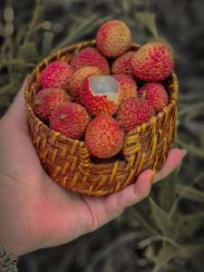 लिची खाण्याचे &#039;हे&#039; चविष्ट आणि आरोग्यदायी पर्याय ठरतील फायद्याचे