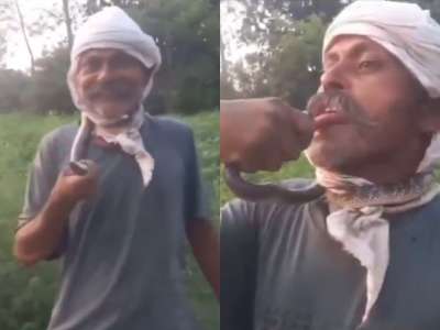 साप पकडल्यानंतर जीभेला किस करण्याचा प्रयत्न, पुढे काय झालं पाहा; अंगावर काटा आणणारा VIDEO