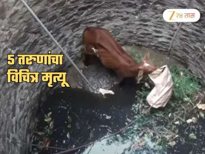 गाईला वाचवताना 5 तरुणांचा मृत्यू, विहिरीत उतल्यानंतर क्षणात बेशुद्ध पडले अन्...; समोर आलं विचित्र कारण