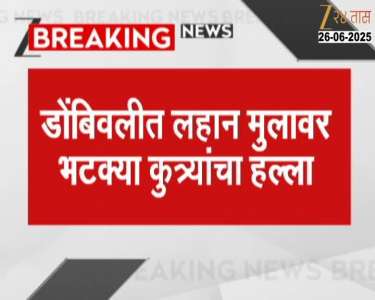 Stray dogs attack a young boy in Dombivli