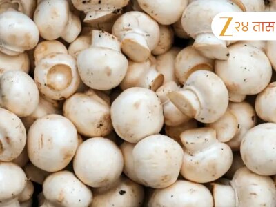 Success Story: मायलेकाने केली कमाल; शेतीतून रोजची 40000 ची कमाई; नेमकं काय करतात?