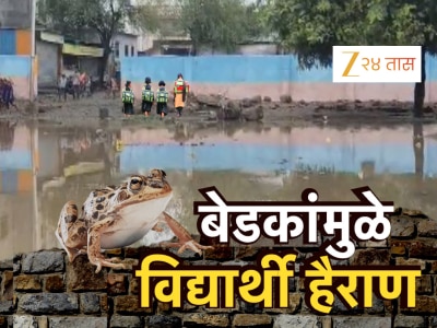 शाळेच्या मैदानातल्या तळ्यात बेडूक आणि साप, बेडकांच्या आवाजानं विद्यार्थी हैराण!
