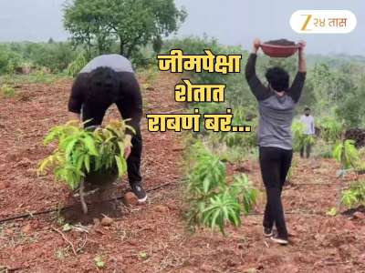 &#039;हक्काचं शेत असताना जीमची गरज काय?&#039; म्हणत शेतात राबतोय &#039;हा&#039; मराठी अभिनेता; 1000 झाडांना...