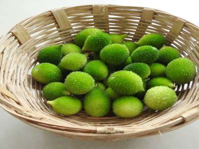  वर्षातील फक्त 3 महिनेच मिळते ही बहुगुणी भाजी, चटपटीत भाजीची रेसिपी पाहाच!