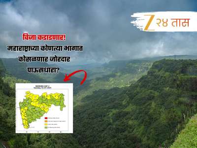विजांच्या कडकडाटानं थरकाप उडणार; कोकणासह राज्याच्या &#039;या&#039; भागांना पाऊस झोडपणार 