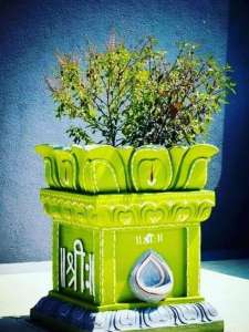 घरात 'या' दिशेला लावा तुळशीचं रोप, येईल सुख समृद्धी 
