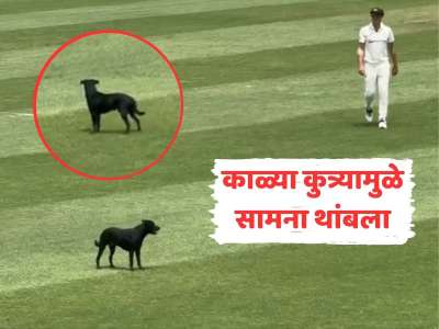 काळ्या कुत्र्यामुळे थांबला सामना, खेळाडूंनी पळवण्यासाठी केले अतोनात प्रयत्न, मग ड्रोन आला अन्.... 