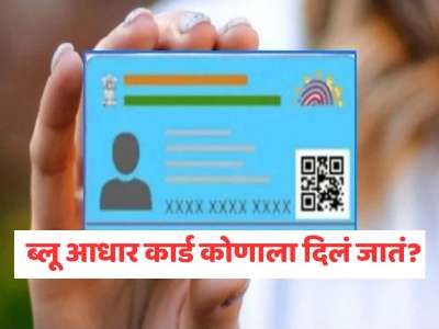ब्लू आधार कार्ड कोणाला दिलं जातं? सामान्य आधार कार्डपेक्षा यात काय वेगळं असतं? 