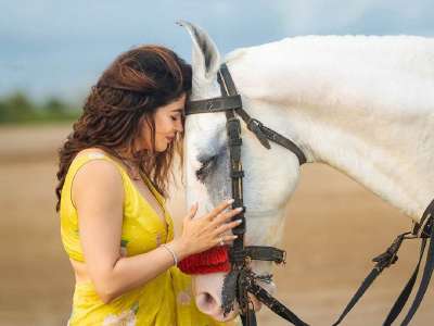 पिवळ्या रंगाच्या साडीत मराठी अभिनेत्रीचं खास फोटोशूट, घोड्यासोबत दिल्या हटके पोज 