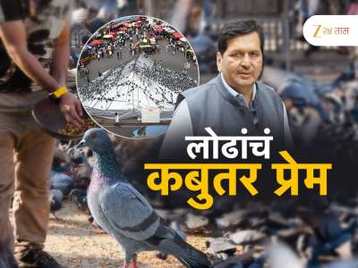 कबुतरखान्यावर ताडपत्री! पर्यायी जागेसाठी लोढांचं महापालिकेला पत्र 